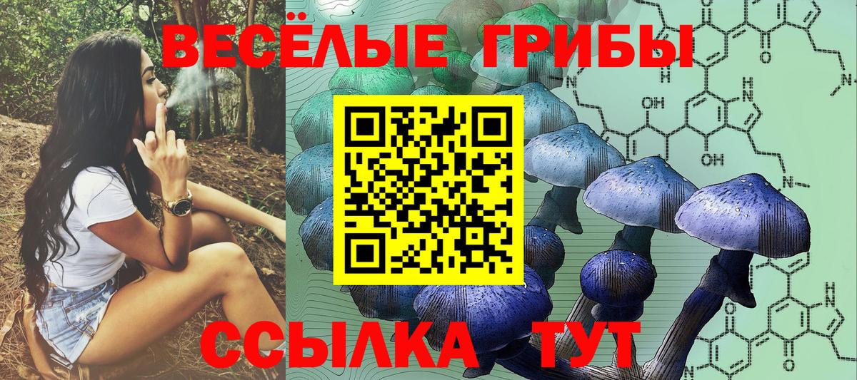 Галлюциногенные грибы Psilocybine cubensis  Псилоцибиновые грибы Psilocybine cubensis  Лобня  Вход с VPN 